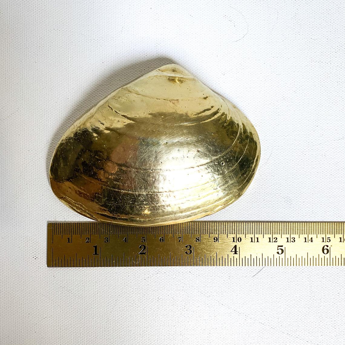 Vintage Brass Seashell Paperweight, Nautical Office Decor –  valerietylercollection